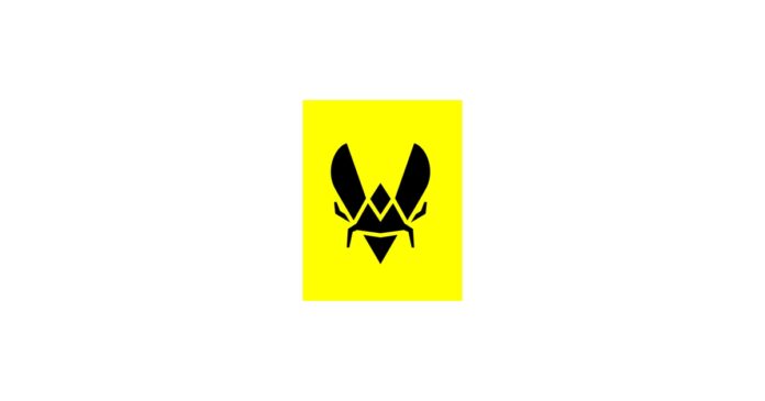 vi-and-team-vitality-forge-a-strategic-esports-partnership-in-india