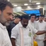 Rahul Gandhi Buys Mysore Pak from Tamil Nadu Sweet Shop During Campaign Trail rahul-gandhi-buys-mysore-pak-from-sweet-shop-in-tamil-nadu-for-‘brother’-mk-stalin.-watch