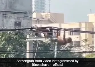 <b>man’s-dangerous-pull-up-stunt-on-power-cables-goes-viral,-ignites-public-outcry</b>