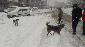 <b>شمالی-ہند-میں-موسم-کی-تبدیلی-کا-اعلان:-برفباری-اور-بارش-کی-پیشگوئی</b>